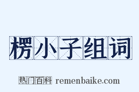 楞小子组词是什么意思的图片